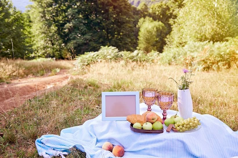 summer-picnic-in-the-forest-at-evening-fruits-co-2025-03-10-00-25-31-utc(1)